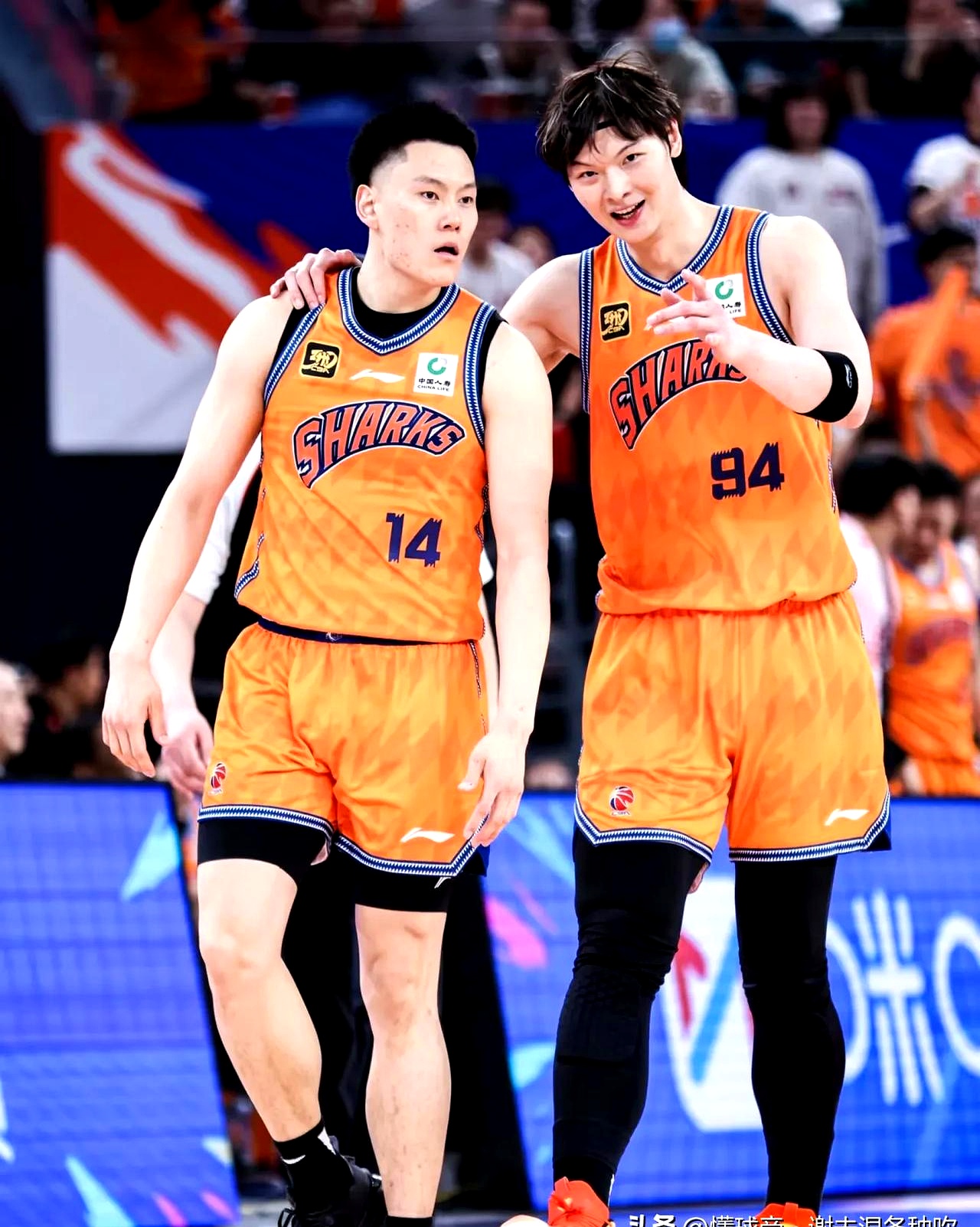 包含转会期突围战来临，丹佛掘金围绕CBA常规赛队长鼓劲，赛场秩序良好，纪律约束更严格的词条